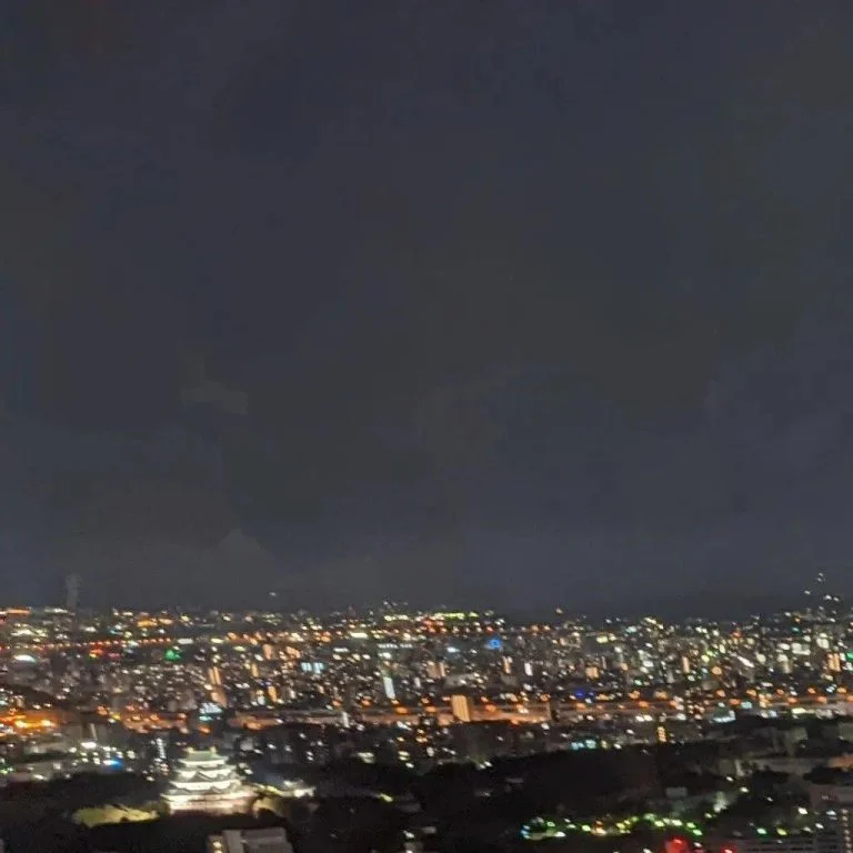 眼の前に広がる景色には名古屋城