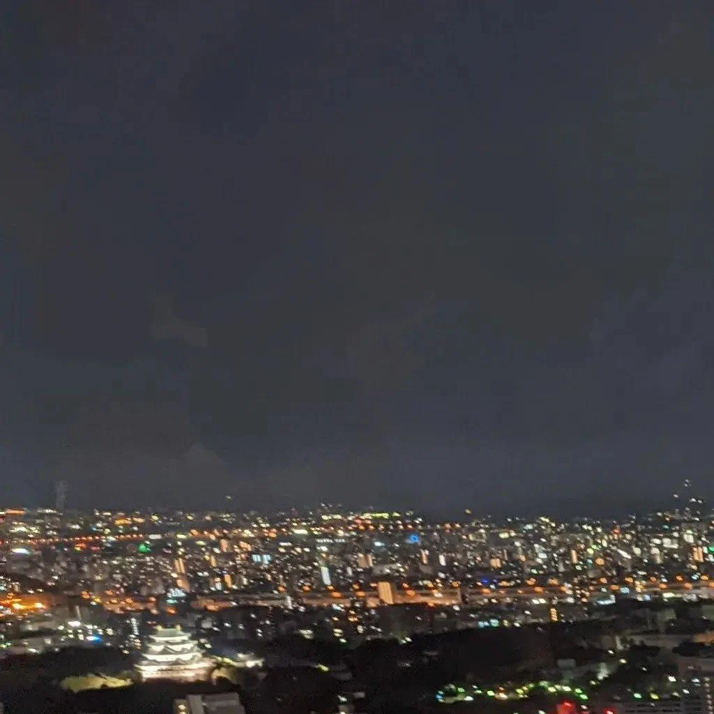 眼の前に広がる景色には名古屋城